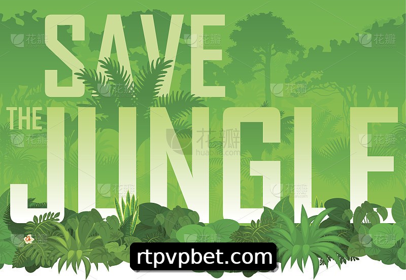 Integração de APIs vpbet